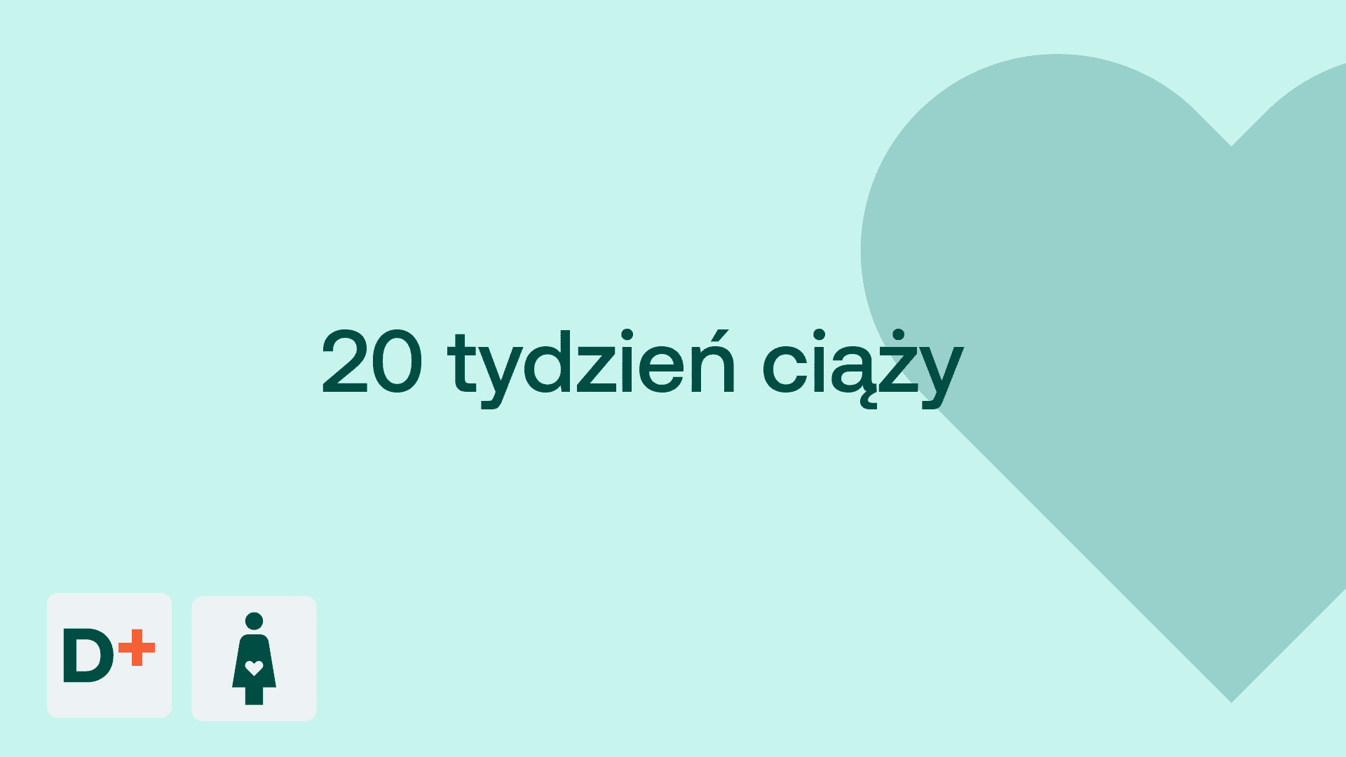 20 tydzień ciąży