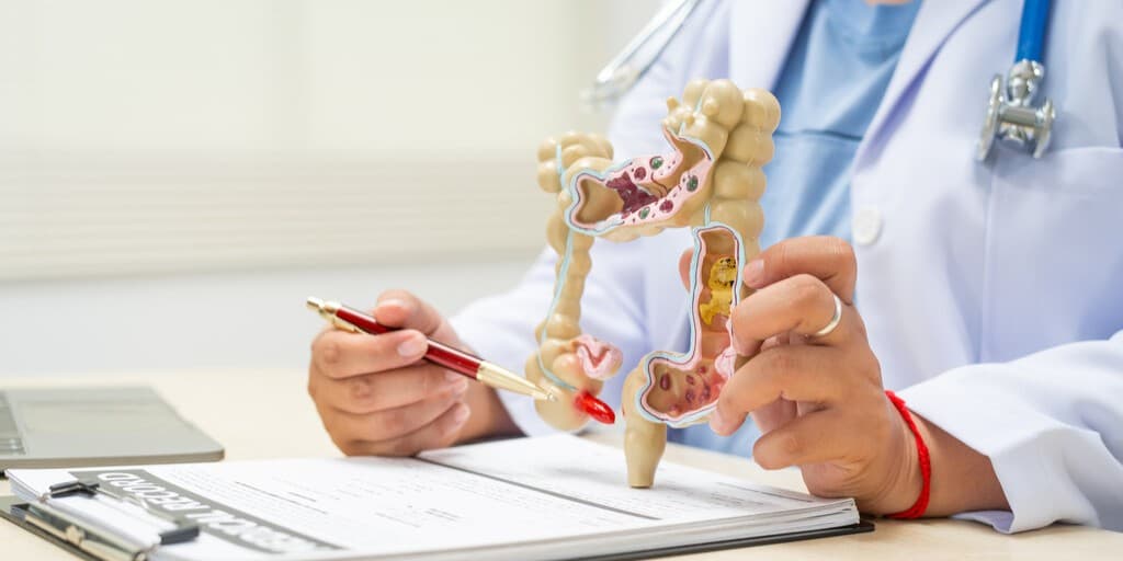 Campylobacter jejuni