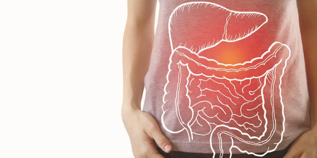 Układ trawienny człowieka