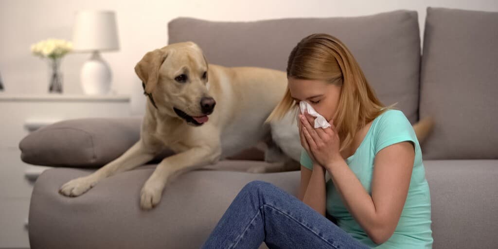 alergia na psa